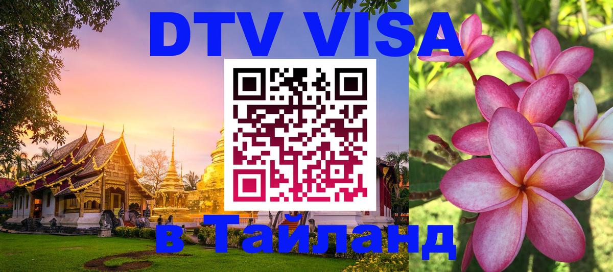 Оформление DTV визы под ключ: стоимость и тарифы, только загранпаспорт - Новороссийск 